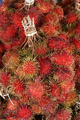 Image showing Rambutan