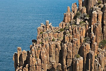 Image showing Rugged coastline cliffs