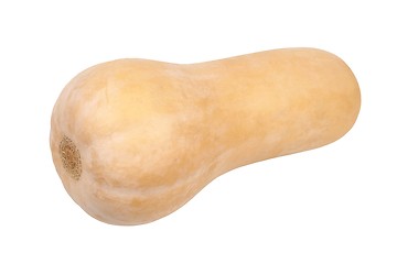 Image showing Butternut squash on white