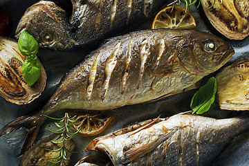 Image showing Fish food
