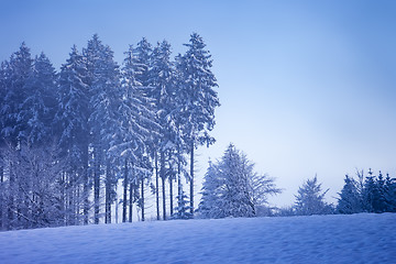 Image showing beautiful winter scenery with a tree