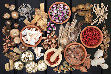 Image showing Chinese Herb Selection