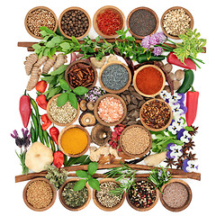 Image showing Herbs and Spices with Edible Flowers