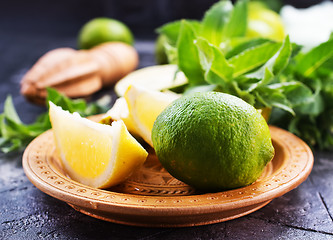 Image showing ingredients for mojito