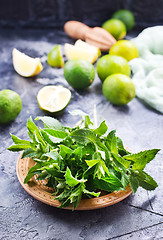 Image showing ingredients for mojito