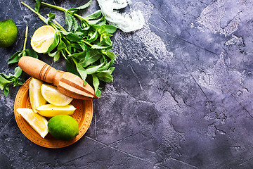 Image showing ingredients for mojito