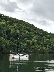 Image showing Catamaran Moored on a River