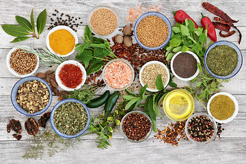 Image showing Spice and Herb Selection