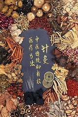 Image showing Acupuncture Needles with Chinese Herbs