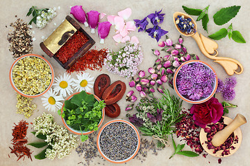 Image showing Herbs for Alternative Herbal Medicine