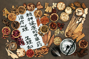 Image showing Chinese Acupuncture and Herbal Therapy