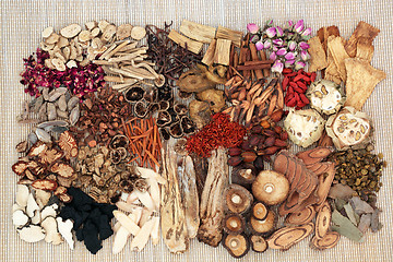 Image showing Traditional Chinese Herb Selection