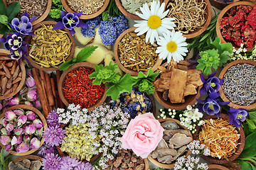 Image showing Natural Alternative Herbal Medicine