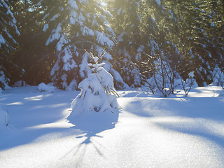 Image showing winter landscape