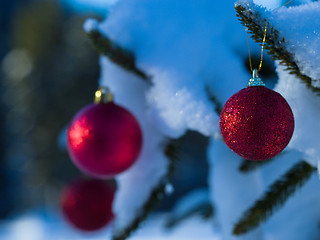 Image showing christmas tree ball decoration