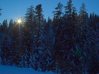 Image showing winter landscape