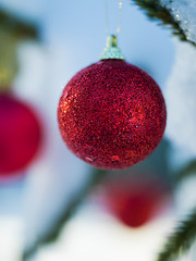 Image showing christmas tree ball decoration