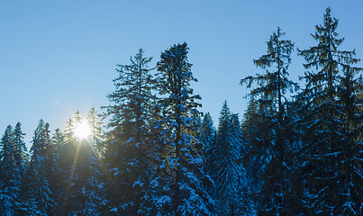 Image showing winter landscape