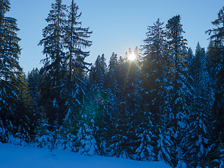 Image showing winter landscape