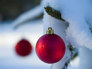 Image showing christmas tree ball decoration