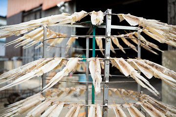 Image showing Hanging of squid at outdoor