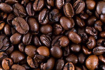 Image showing Roasted Coffee bean 