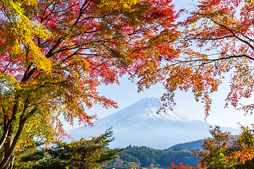 Image showing Mount Fuji in Autumn of Japan