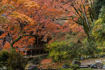 Image showing Traditional Japanese garden