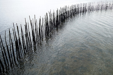 Image showing Bamboo wall in the sea