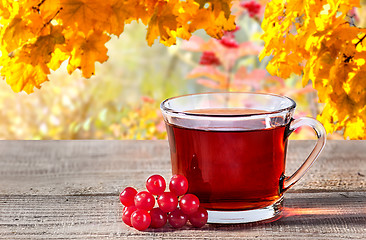 Image showing Cup of black tea with viburnum berries