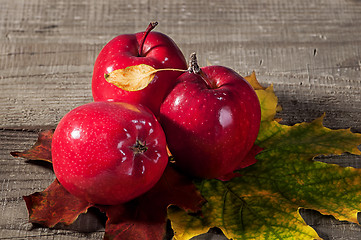 Image showing Red apples with maple leaves