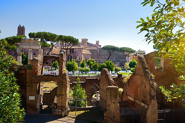 Image showing Roman forum, Italy