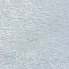 Image showing Snow Texture Background