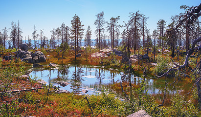 Image showing Small Swamp On Top Of Mount