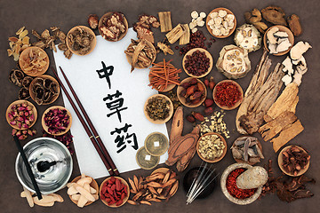 Image showing Chinese Alternative Medicine