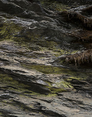 Image showing Rocks and stones texture or pattern with moss