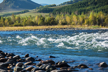 Image showing Fast mountain river Charish in Altay