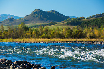 Image showing Fast mountain river Charish in Altay