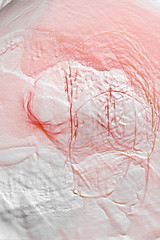 Image showing Pink Whipped Cream