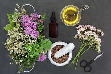 Image showing Natural Herbal Medicine Preparation