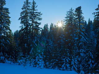 Image showing winter landscape