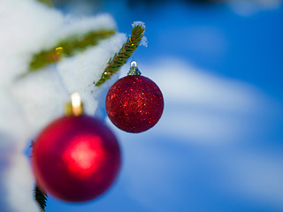 Image showing christmas tree ball decoration