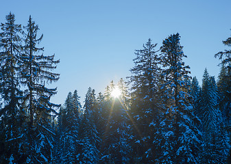 Image showing winter landscape