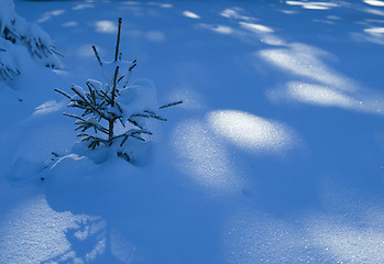 Image showing winter landscape