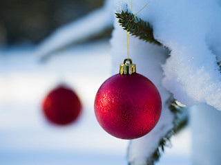 Image showing christmas tree ball decoration