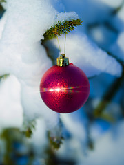 Image showing christmas tree ball decoration