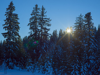 Image showing winter landscape