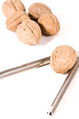 Image showing Close up on Walnuts