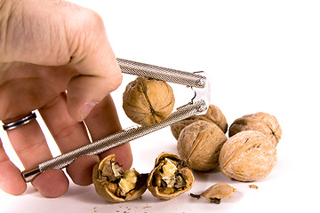 Image showing Cracking Walnuts