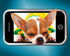 Image showing Small Chihuahua Dog Photo On Mobile Phone